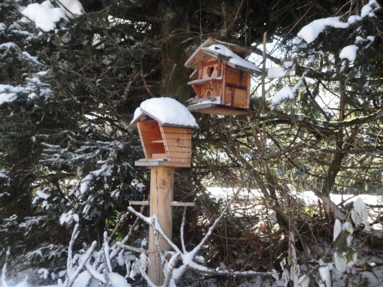 Mangeoir a oiseaux